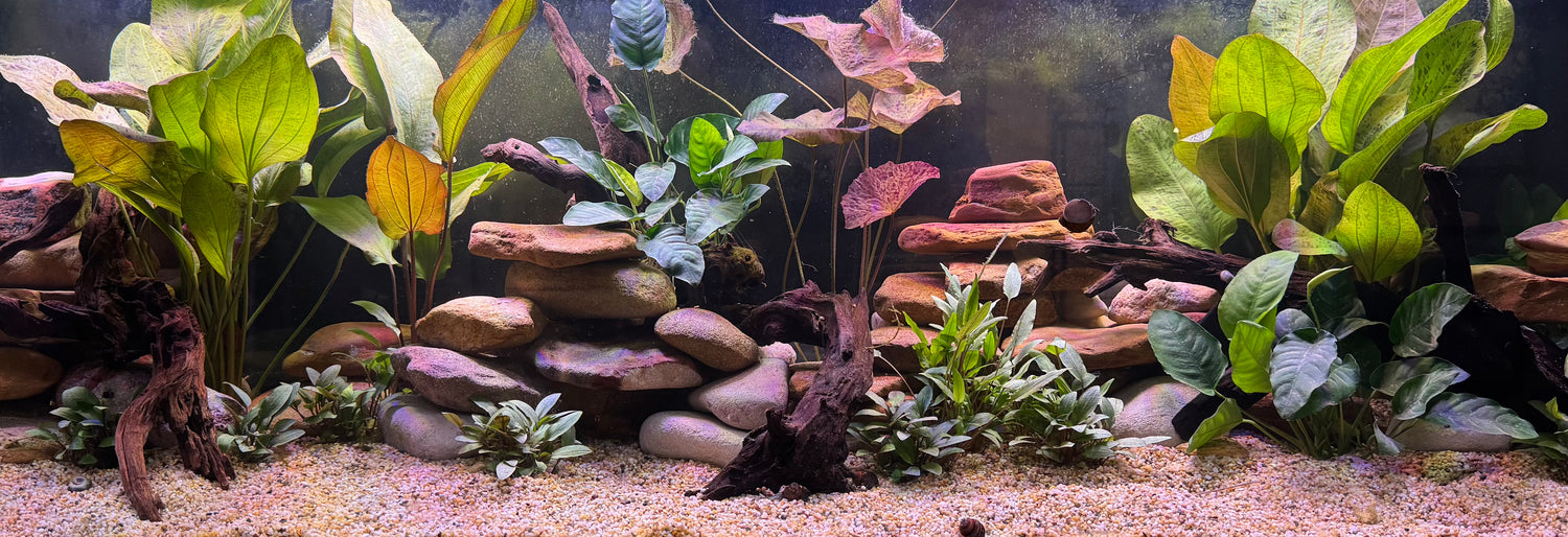 Hardscaping & Ornaments