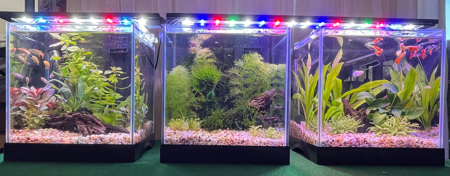 Aquarium Tanks