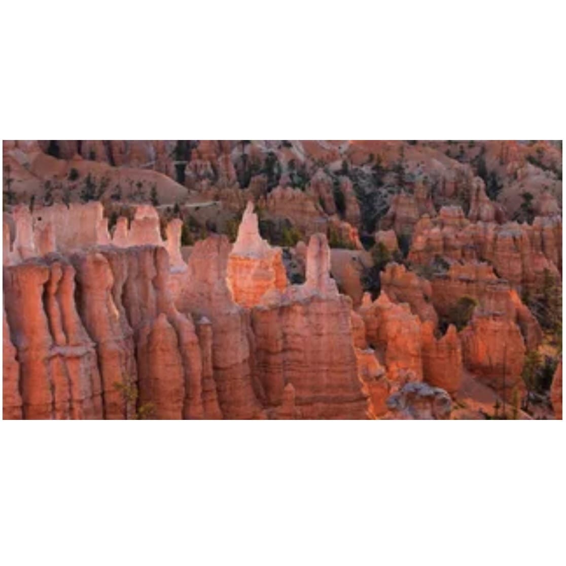 Reptile Realm Aqua Natural 2 foot (40cm high by 60cm wide) Red Canyon Poster Background Red Canyon Poster Background - Tank Terrarium Australia