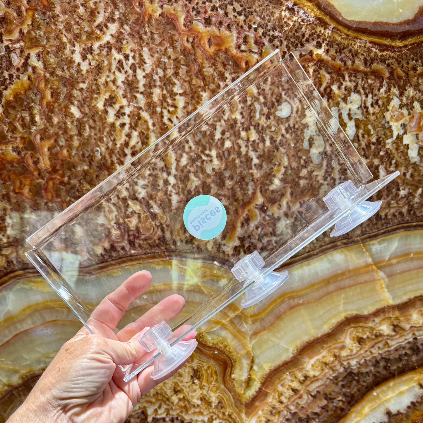 Scapeshop.com.au Aquascape Tools Acrylic Suction Shelf Buy an Acrylic Suction Shelf for Aquarium Plants or Fish Feeding