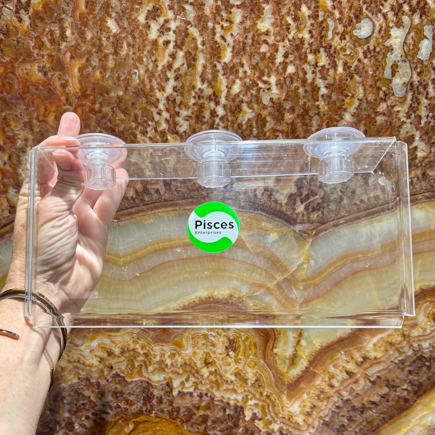 Scapeshop.com.au Aquascape Tools Acrylic Suction Shelf Buy an Acrylic Suction Shelf for Aquarium Plants or Fish Feeding