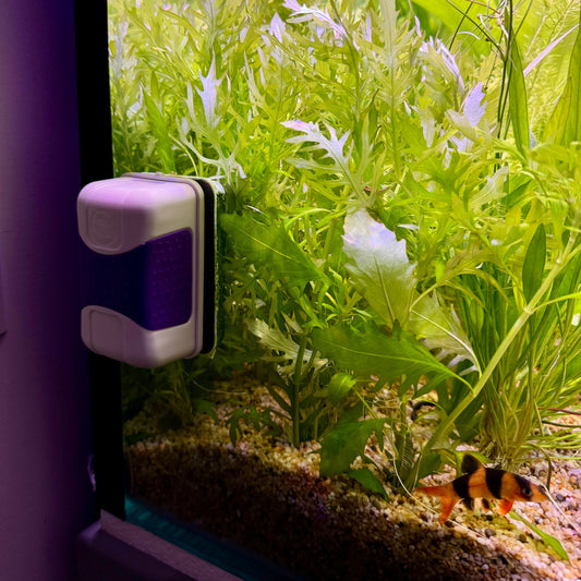 Pisces Aquatics Aquascape Tools Magnetic Aquarium Glass Cleaner Large