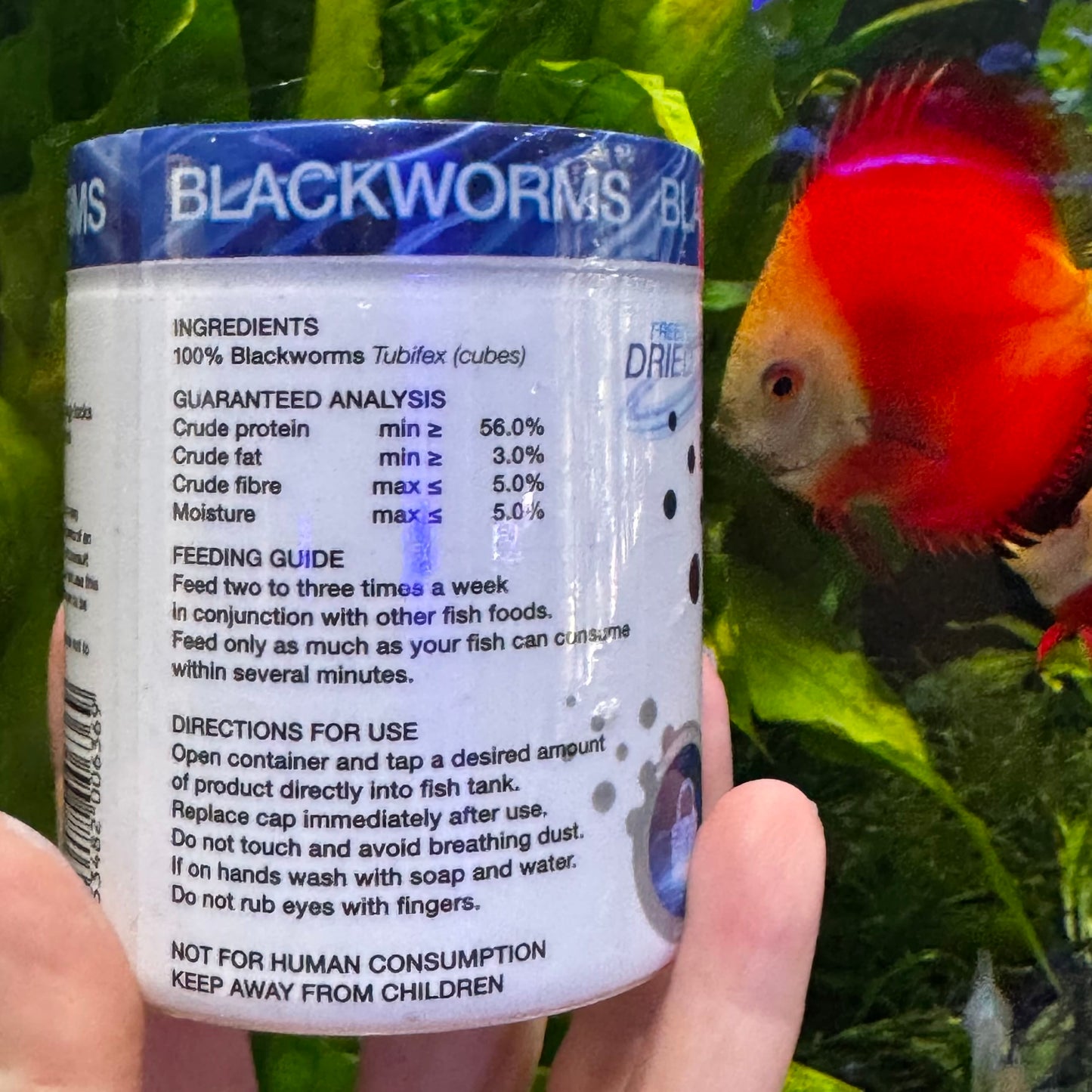 Aqua Natural Fish Food Freeze Dried Blackworms - Aqua Natural Where to buy Freeze Dried Blackworms Aqua Natural online in Australia