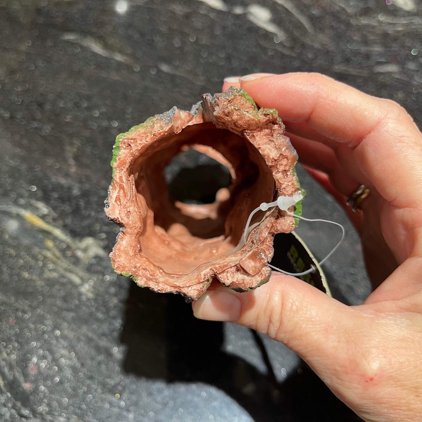 Komodo Resin Ornament Forest Log - Small