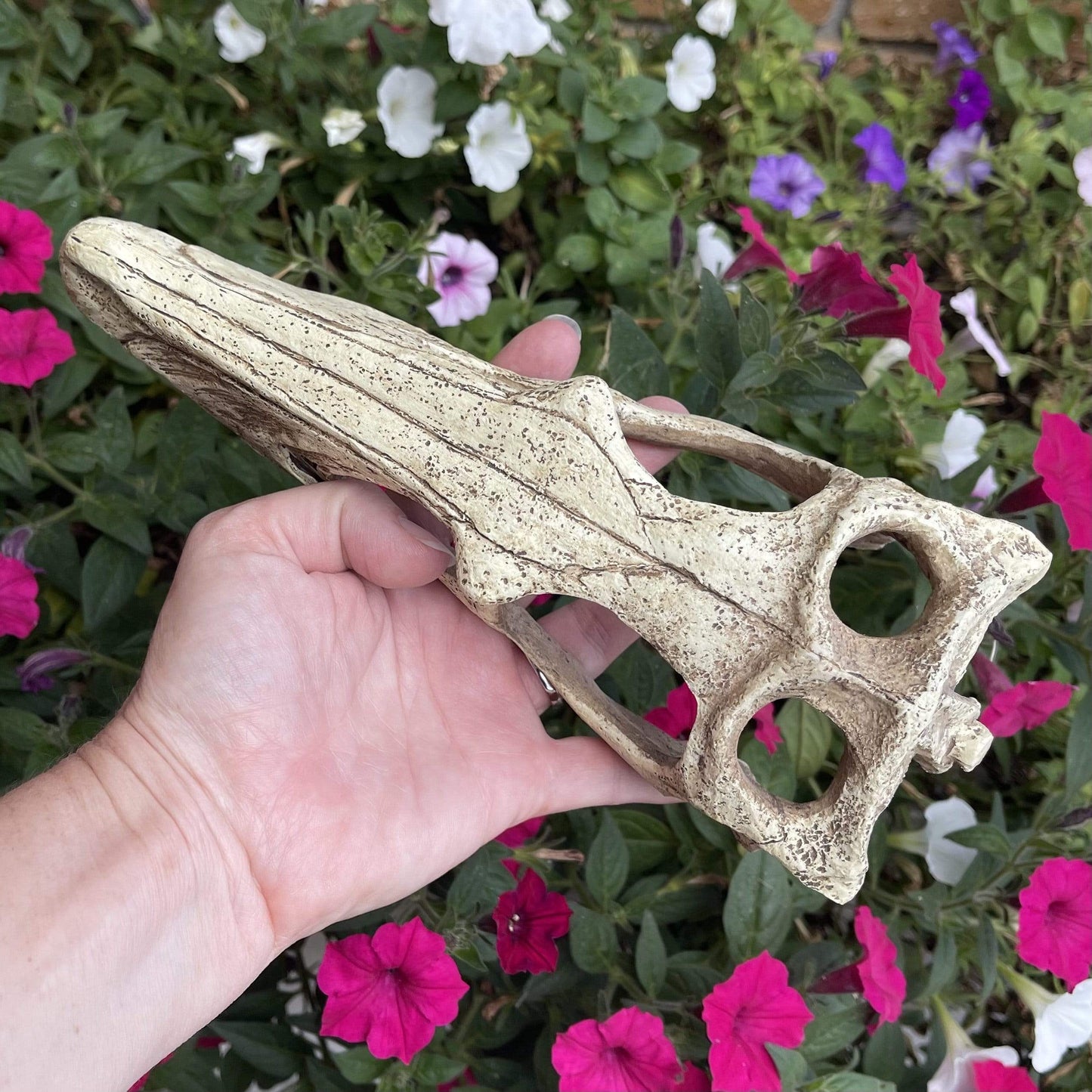 Komodo Resin Ornament Raptor Skull Resin Ornament - Large