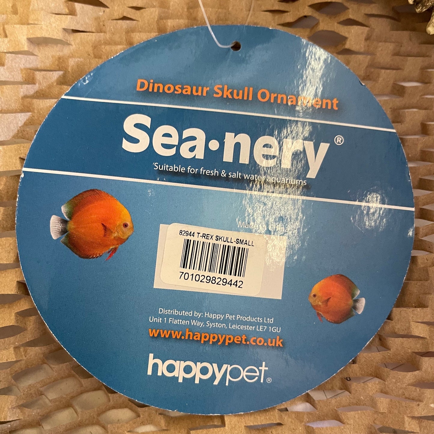 Komodo Resin Ornament T-Rex Skull Resin Ornament - Small