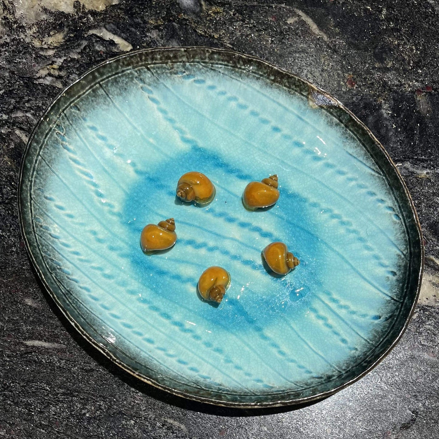 Pisces Aquatics Snails Gold Mystery Snail ~ Medium