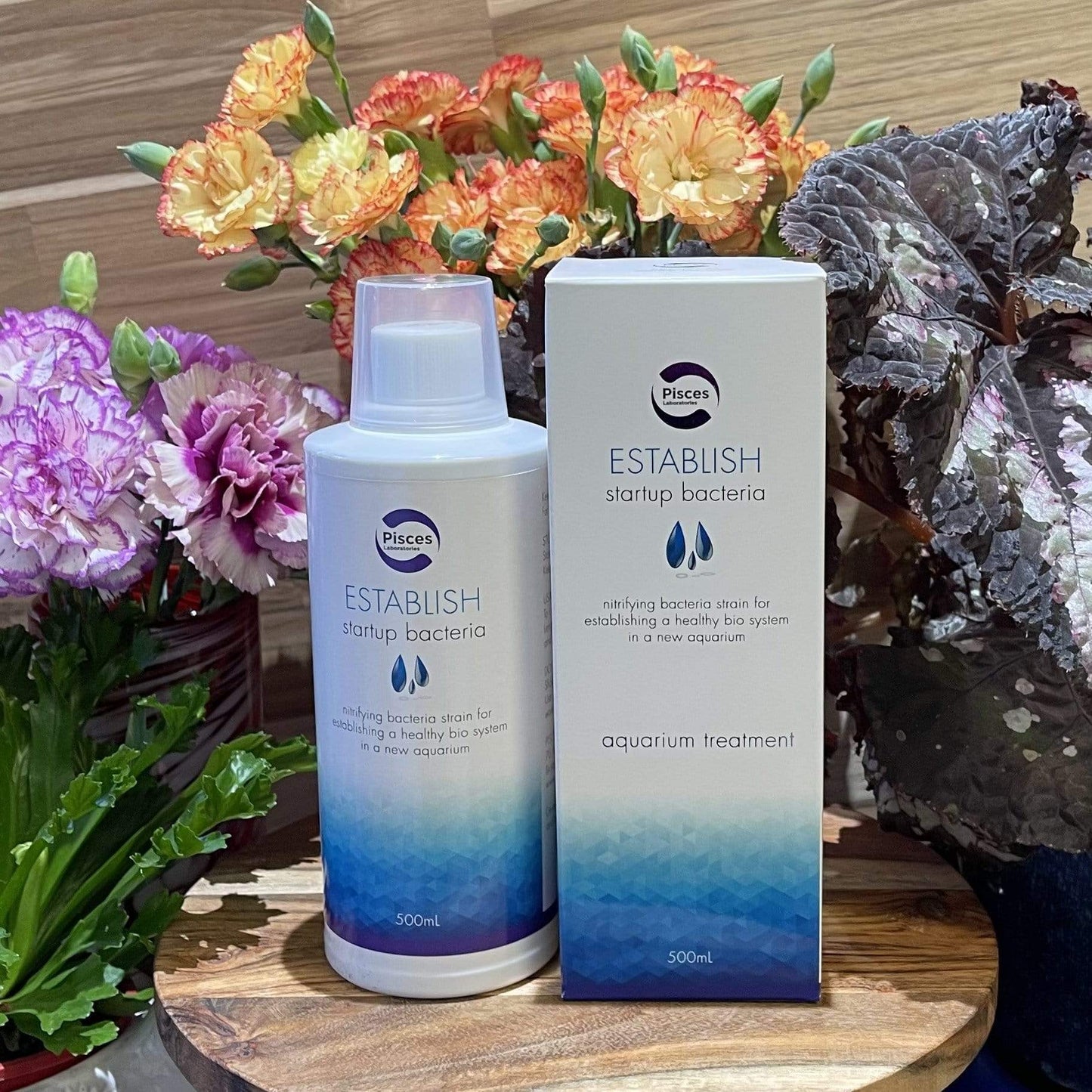 Pisces Enterprises Aquarium Water Treatment Medium - 200mL Pisces ESTABLISH Beneficial Bacteria