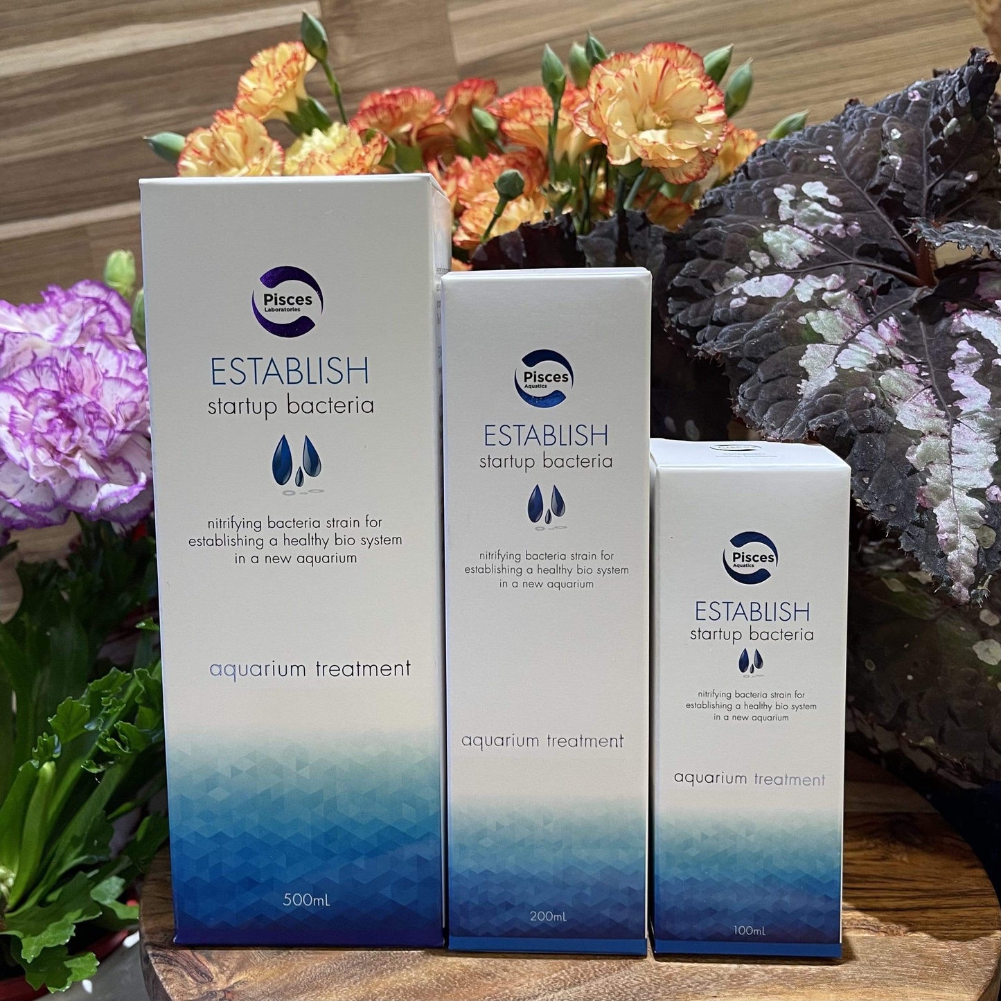 Pisces Enterprises Aquarium Water Treatment Pisces ESTABLISH Beneficial Bacteria