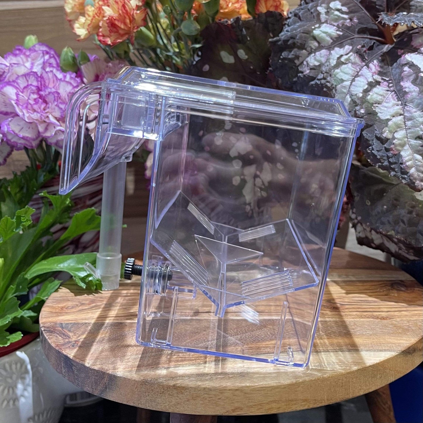Pisces Enterprises Breeding Box Pisces Breeding Box BB-11