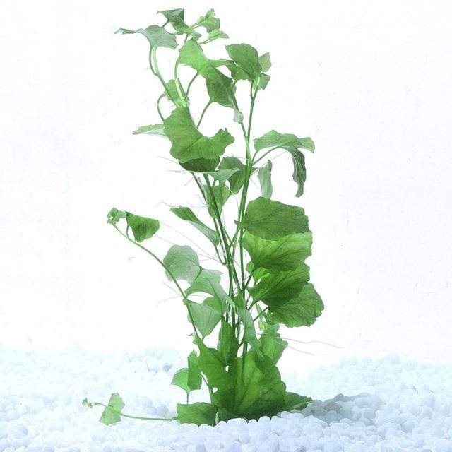 Pisces Enterprises Bunch Plant Cardamine Lyrata Bunch