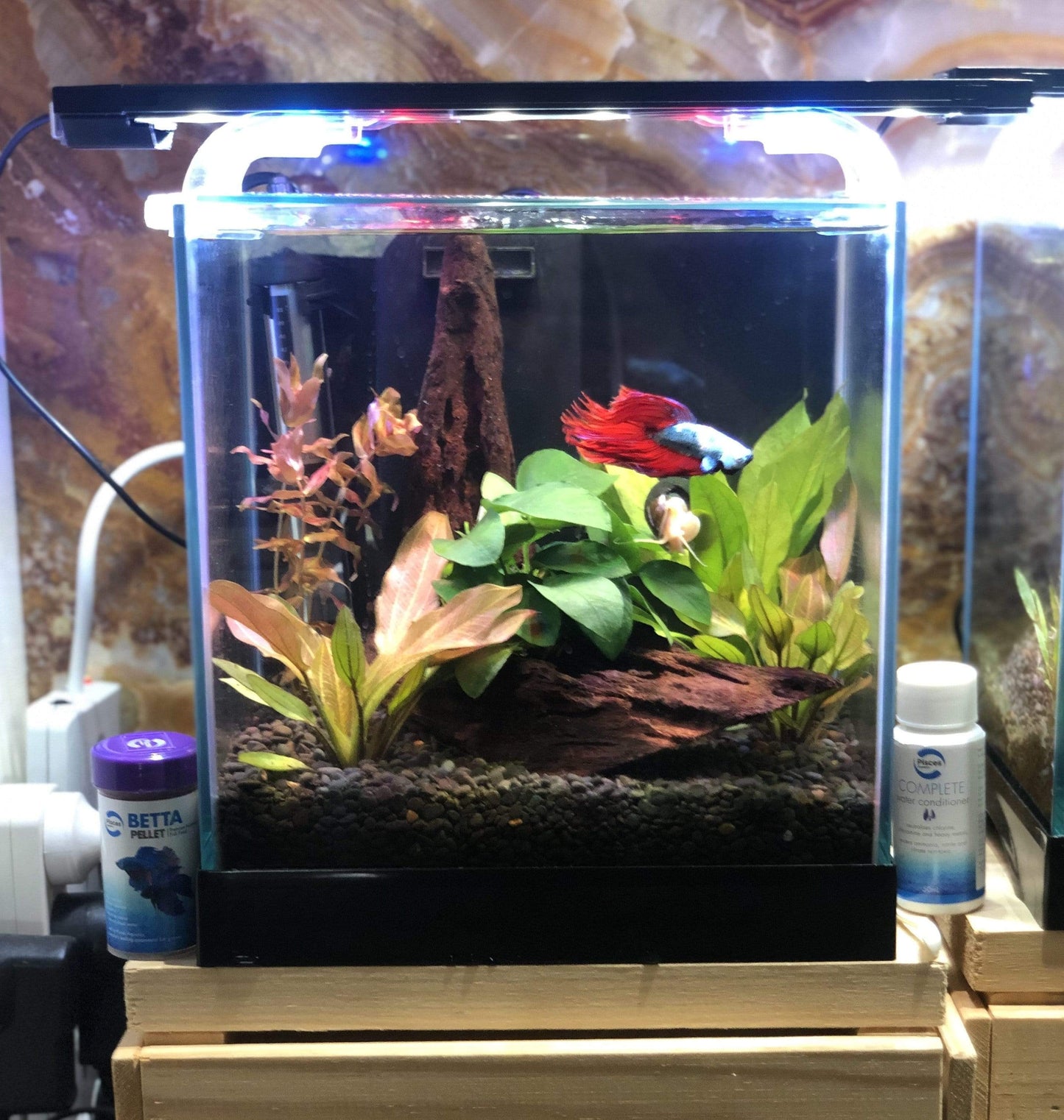 Scapeshop.com.au Aquarium Lights Pisces Aquatics LED Aquarium Light 35cm