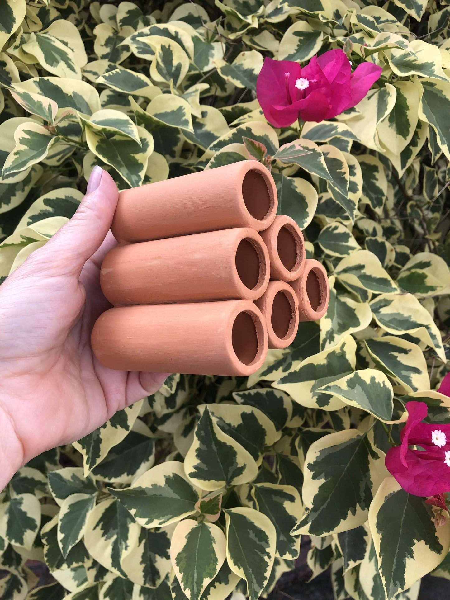 Scapeshop.com.au Hardscaping Bare Terracotta Shrimp Tubes