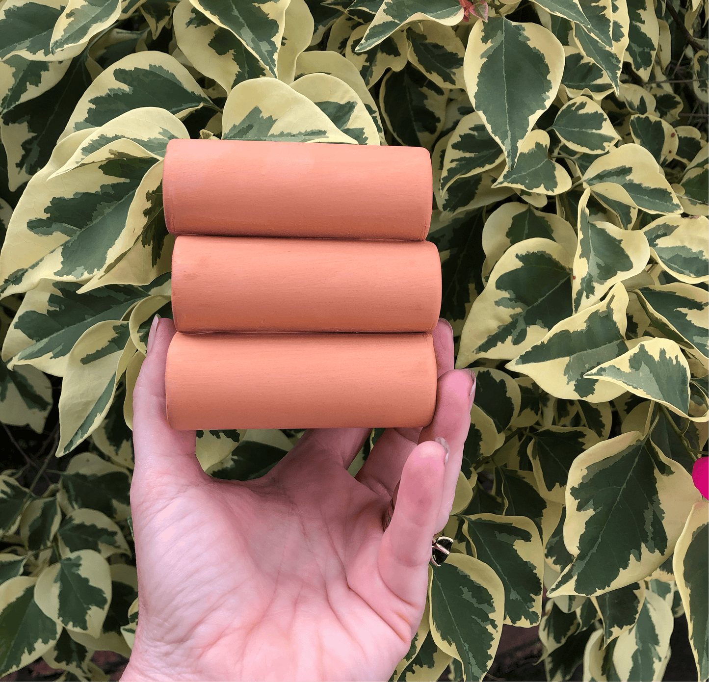 Scapeshop.com.au Hardscaping Bare Terracotta Shrimp Tubes