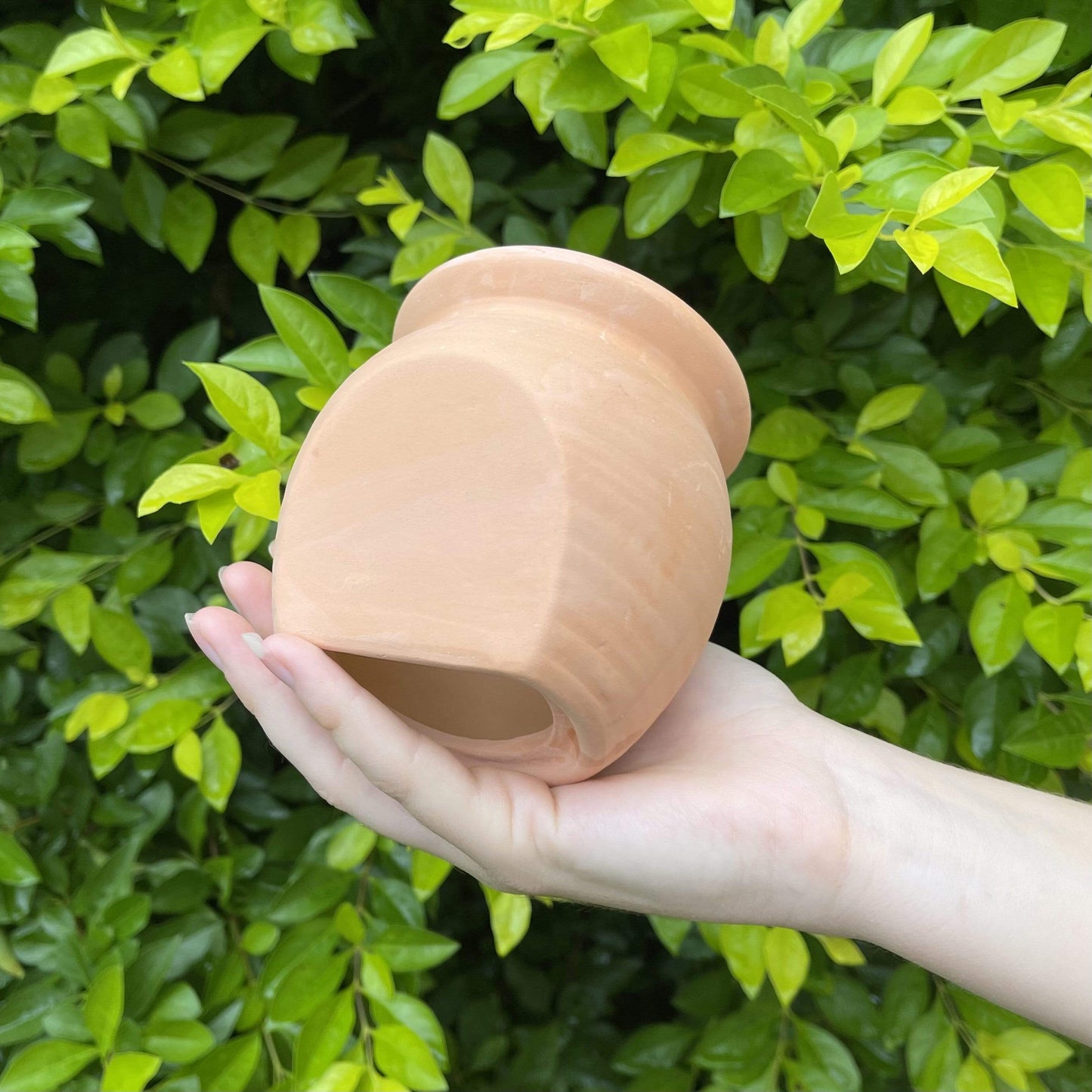 Scapeshop.com.au Hardscaping Bare Terracotta Urn Large