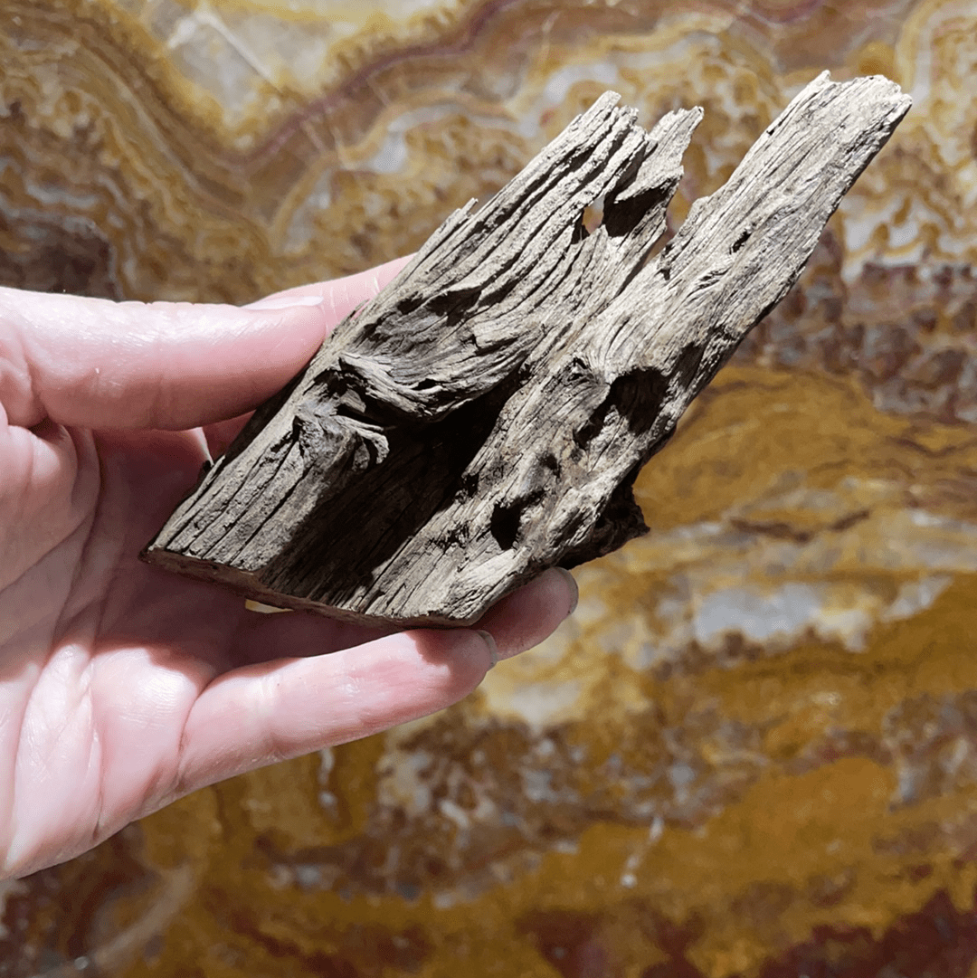 Scapeshop.com.au Hardscaping Malaysian Driftwood Blanks ~ Extra-Small (8-14cm)