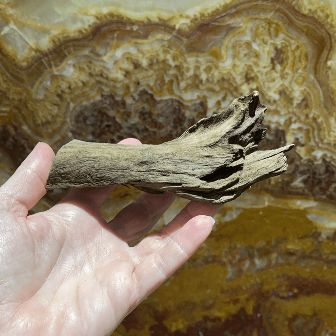 Scapeshop.com.au Hardscaping Malaysian Driftwood Blanks ~ Extra-Small (8-14cm)