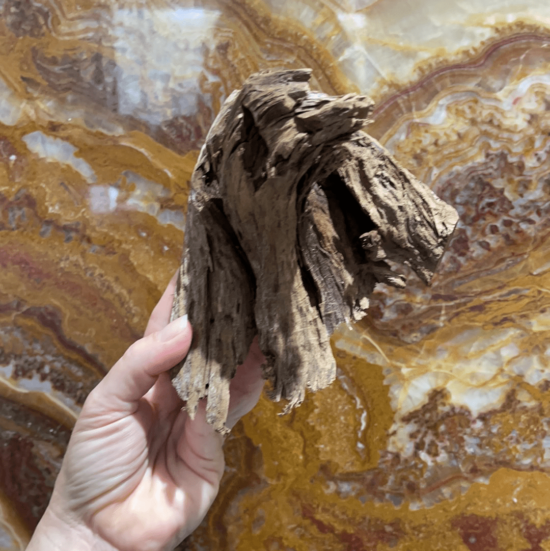 Scapeshop.com.au Hardscaping Malaysian Driftwood Blanks ~ Small (15-24cm)