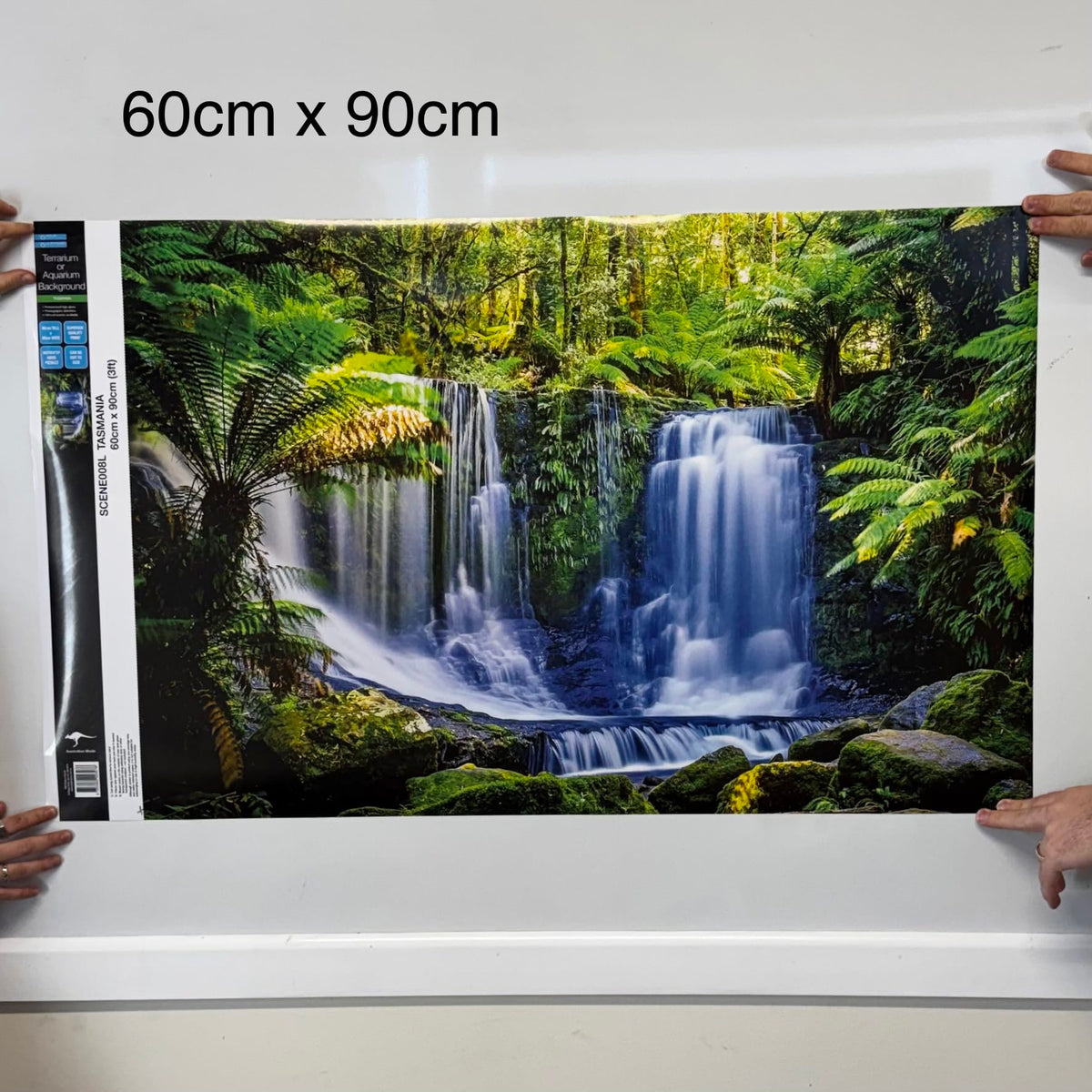 Tasmanian Rainforest Waterfall Poster Background - Tank Terrarium Australia Aqua Natural
