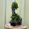 Load image into Gallery viewer, Pisces Enterprises Driftwood Creation Petite Nana Rainforest Driftwood Creation - One Only