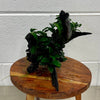 Load image into Gallery viewer, Pisces Enterprises Driftwood Creation Triple Petite Nana Driftwood Creation - One Only - Strength