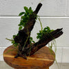 Load image into Gallery viewer, Pisces Enterprises Driftwood Creation Triple Petite Nana Driftwood Creation - One Only - Wishbone