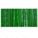 Reptile Realm Aqua Natural 2 foot (40cm high by 60cm wide) Bamboo Forest Poster Background Bamboo Forest Terrarium Background - Tank Terrarium Australia