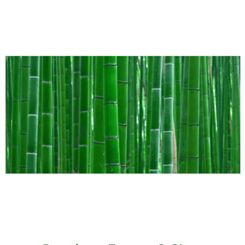 Reptile Realm Aqua Natural 2 foot (40cm high by 60cm wide) Bamboo Forest Poster Background Bamboo Forest Terrarium Background - Tank Terrarium Australia