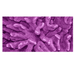 Reptile Realm Aqua Natural 2 foot (40cm high by 60cm wide) Coral Poster Background - Reptile Realm Coral Poster Background - Tank Terrarium