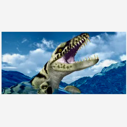 Reptile Realm Aqua Natural 2 foot (40cm high by 60cm wide) Dakosaurus Dinosaur Poster Background Dakosaurus Dinosaur Background - Tank Terrarium