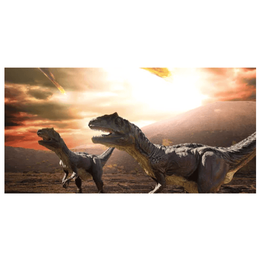 Reptile Realm Aqua Natural 2 foot (40cm high by 60cm wide) Dinosaur Desert Sunrise Poster Background Dinosaur Desert Sunrise Background - Tank Terrarium