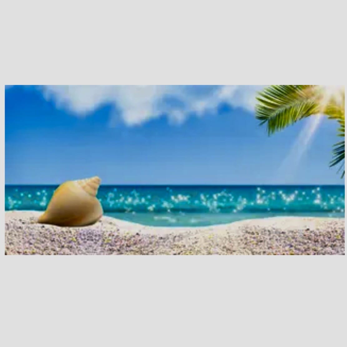 Reptile Realm Aqua Natural 2 foot (40cm high by 60cm wide) Hermit Beach Poster Background Hermit Beach Poster Background - Tank Terrarium Australia