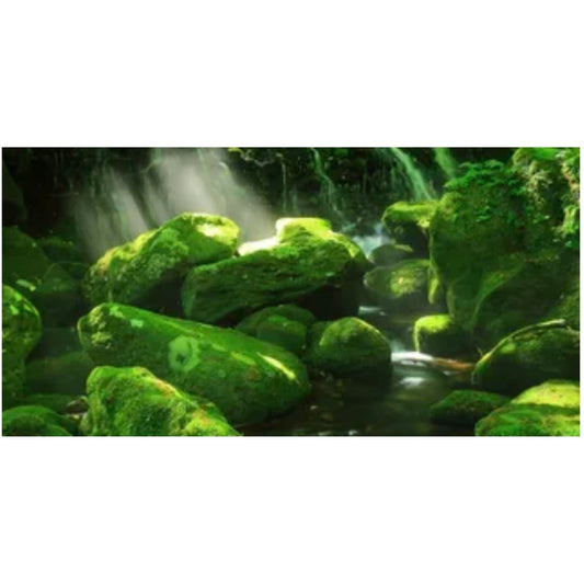 Reptile Realm Aqua Natural 2 foot (40cm high by 60cm wide) Moss Boulder Forest Poster Background Moss Boulder Forest Background - Tank Terrarium Australia
