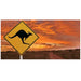 Reptile Realm Aqua Natural 2 foot (40cm high by 60cm wide) Outback Kangarooo Poster Background Outback Kangaroo Poster Background - Tank Terrarium Australia