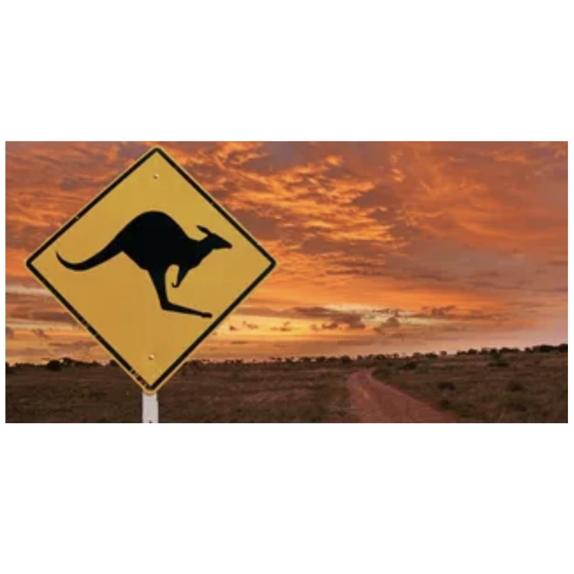 Reptile Realm Aqua Natural 2 foot (40cm high by 60cm wide) Outback Kangarooo Poster Background Outback Kangaroo Poster Background - Tank Terrarium Australia