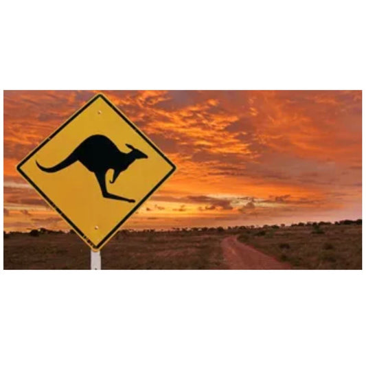 Reptile Realm Aqua Natural 2 foot (40cm high by 60cm wide) Outback Kangarooo Poster Background Outback Kangaroo Poster Background - Tank Terrarium Australia