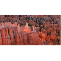 Reptile Realm Aqua Natural 2 foot (40cm high by 60cm wide) Red Canyon Poster Background Red Canyon Poster Background - Tank Terrarium Australia