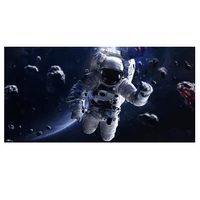Reptile Realm Aqua Natural 2 foot (40cm high by 60cm wide) Spaceman Poster Background - Major Tom Major Tom Spaceman Poster Background - Tank Terrarium Australia