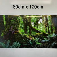 Tank Terrarium Australia Aqua Natural Amazon Rainforest Poster Background Amazon Rainforest Terrarium Background - Tank Terrarium Australia