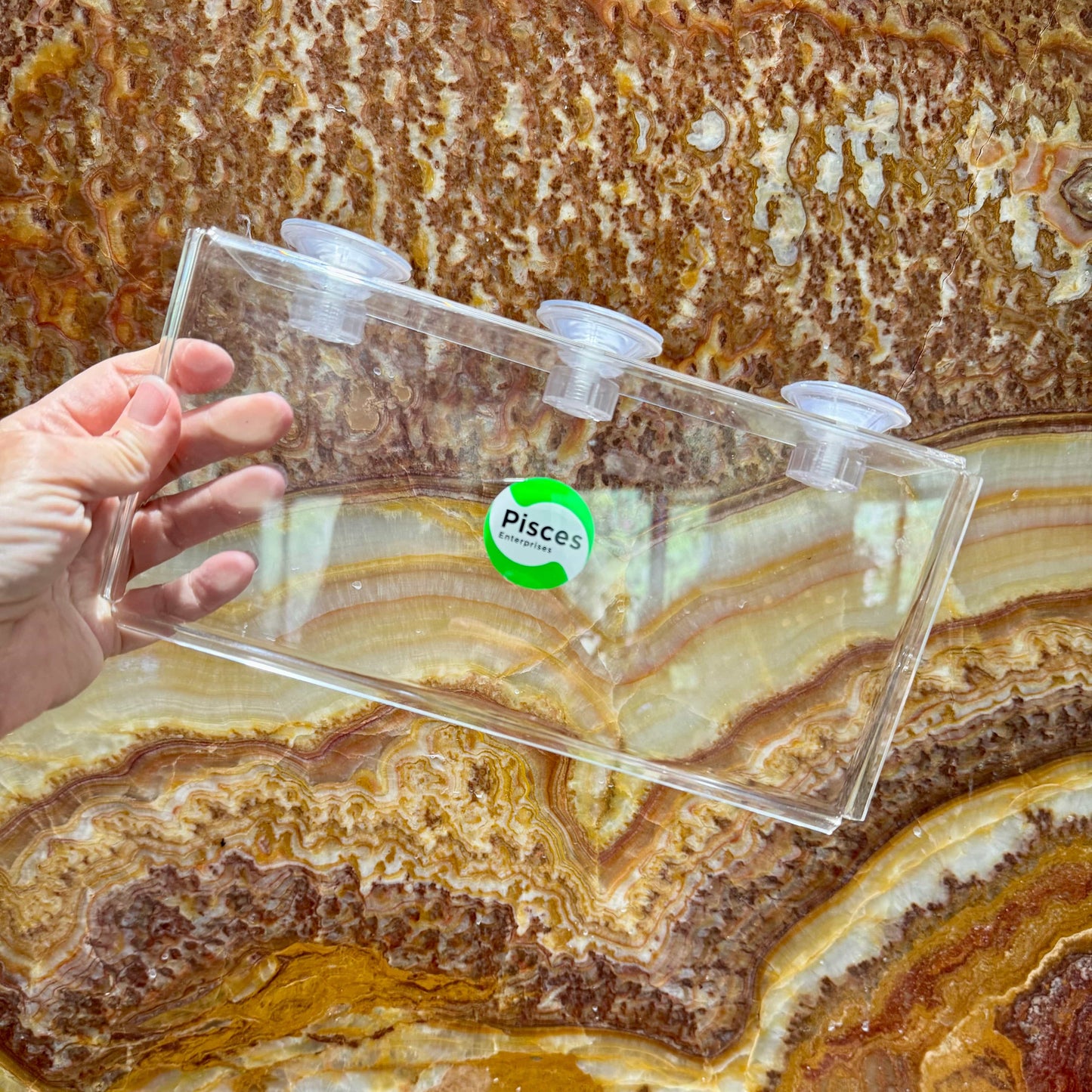 Scapeshop.com.au Aquascape Tools Acrylic Suction Shelf Buy an Acrylic Suction Shelf for Aquarium Plants or Fish Feeding 