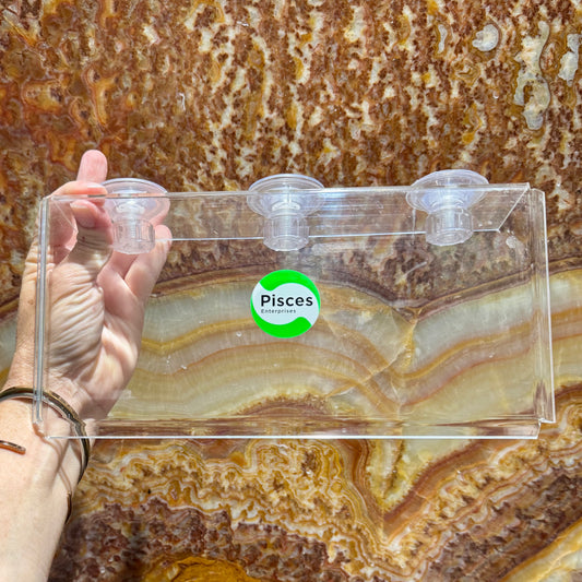 Scapeshop.com.au Aquascape Tools Acrylic Suction Shelf Buy an Acrylic Suction Shelf for Aquarium Plants or Fish Feeding 