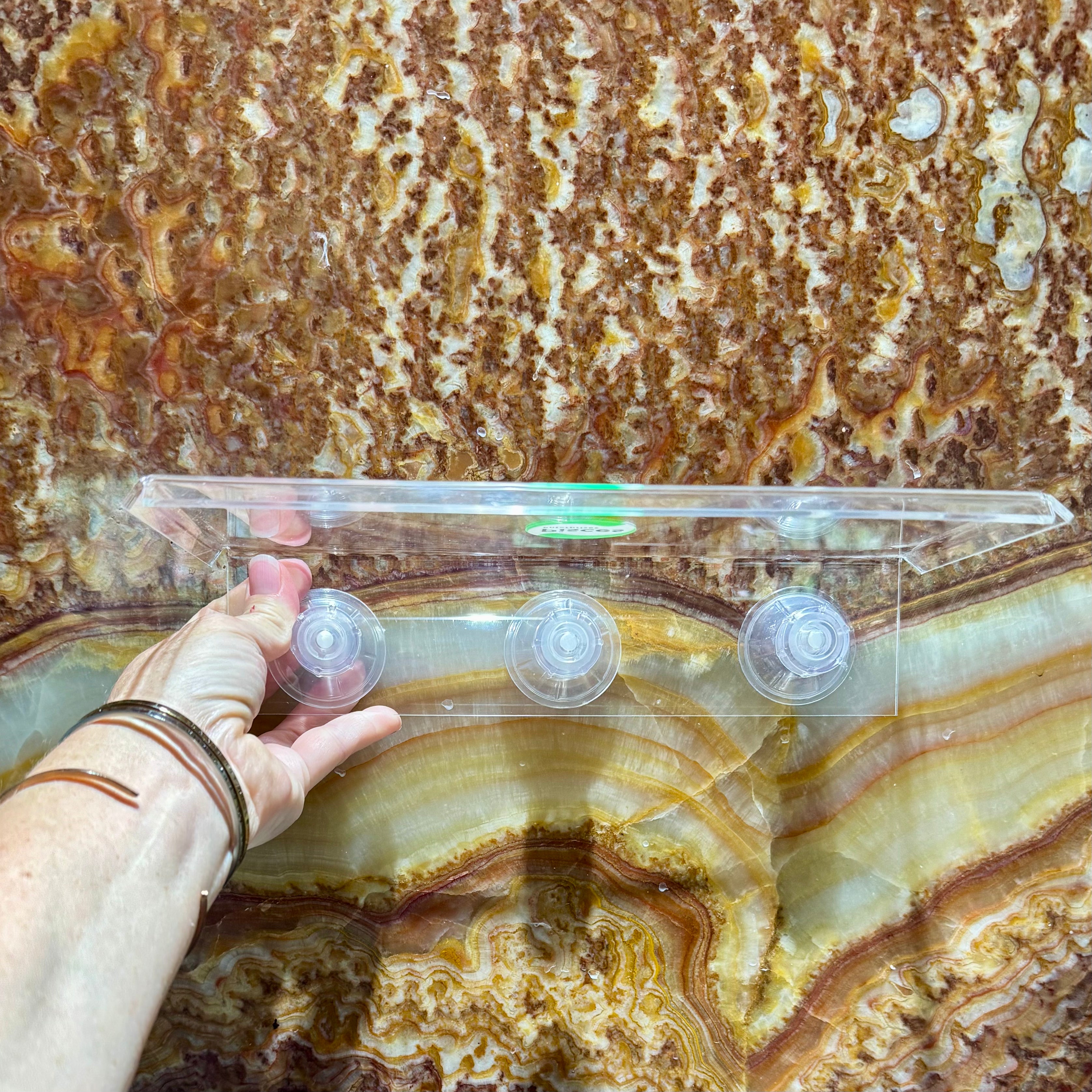 Scapeshop.com.au Aquascape Tools Acrylic Suction Shelf Buy an Acrylic Suction Shelf for Aquarium Plants or Fish Feeding 