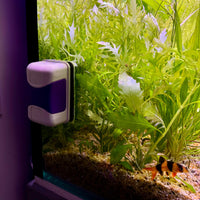Pisces Aquatics Aquascape Tools Magnetic Aquarium Glass Cleaner Large