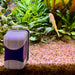 Pisces Aquatics Aquascape Tools Magnetic Aquarium Glass Cleaner Large Magnetic Aquarium Glass Cleaner Large