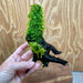 Pisces Enterprises Driftwood Creation Fontinalis Log - Medium (Java Moss) Fontinalis Log - Medium (Java Moss)