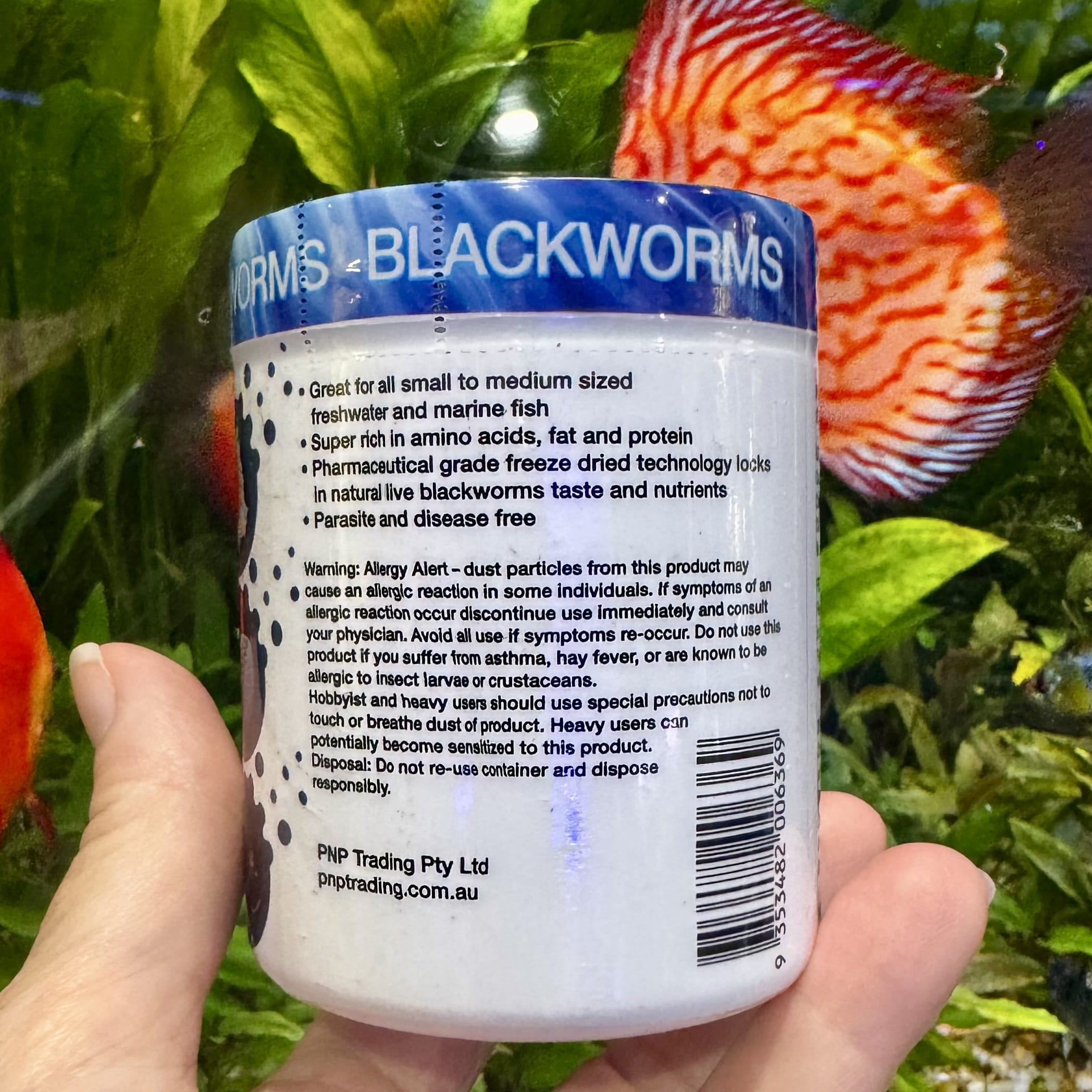 Aqua Natural Fish Food Freeze Dried Blackworms - Aqua Natural Where to buy Freeze Dried Blackworms Aqua Natural online in Australia