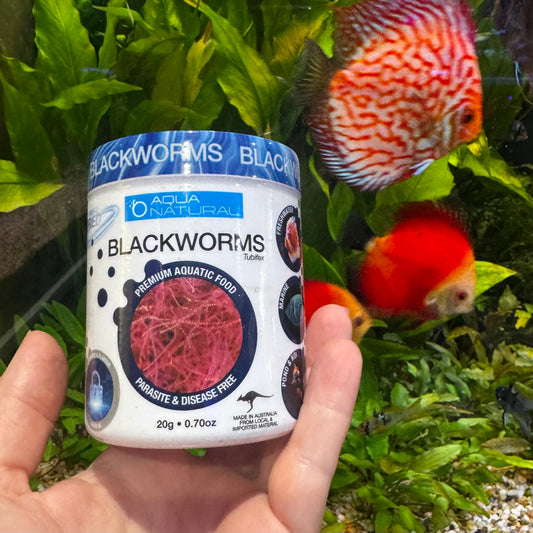 Aqua Natural Fish Food Freeze Dried Blackworms - Aqua Natural Where to buy Freeze Dried Blackworms Aqua Natural online in Australia
