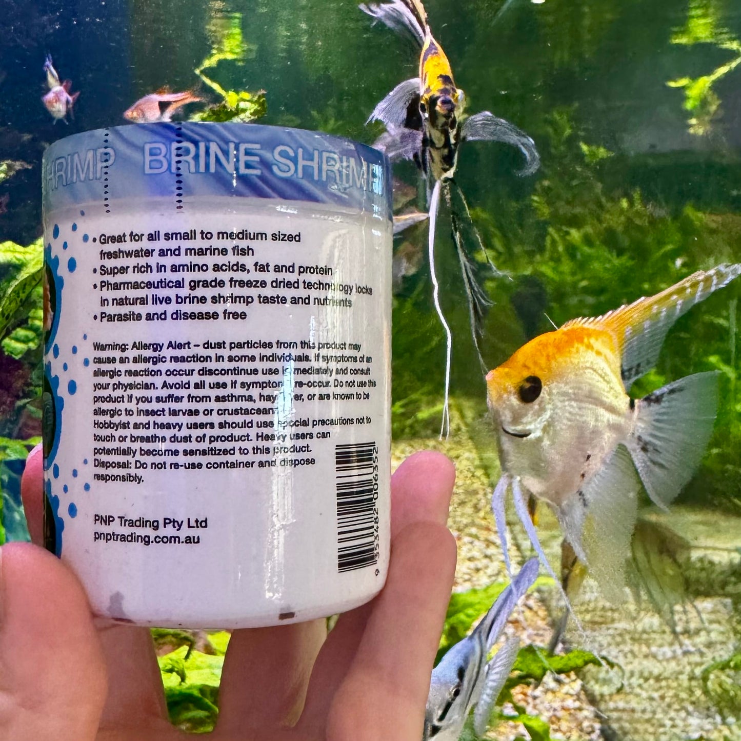 Aqua Natural Fish Food Freeze Dried Brine Shrimp - Aqua Natural Where to buy Freeze Dried Brine Shrimp AquaNatural online in Australia