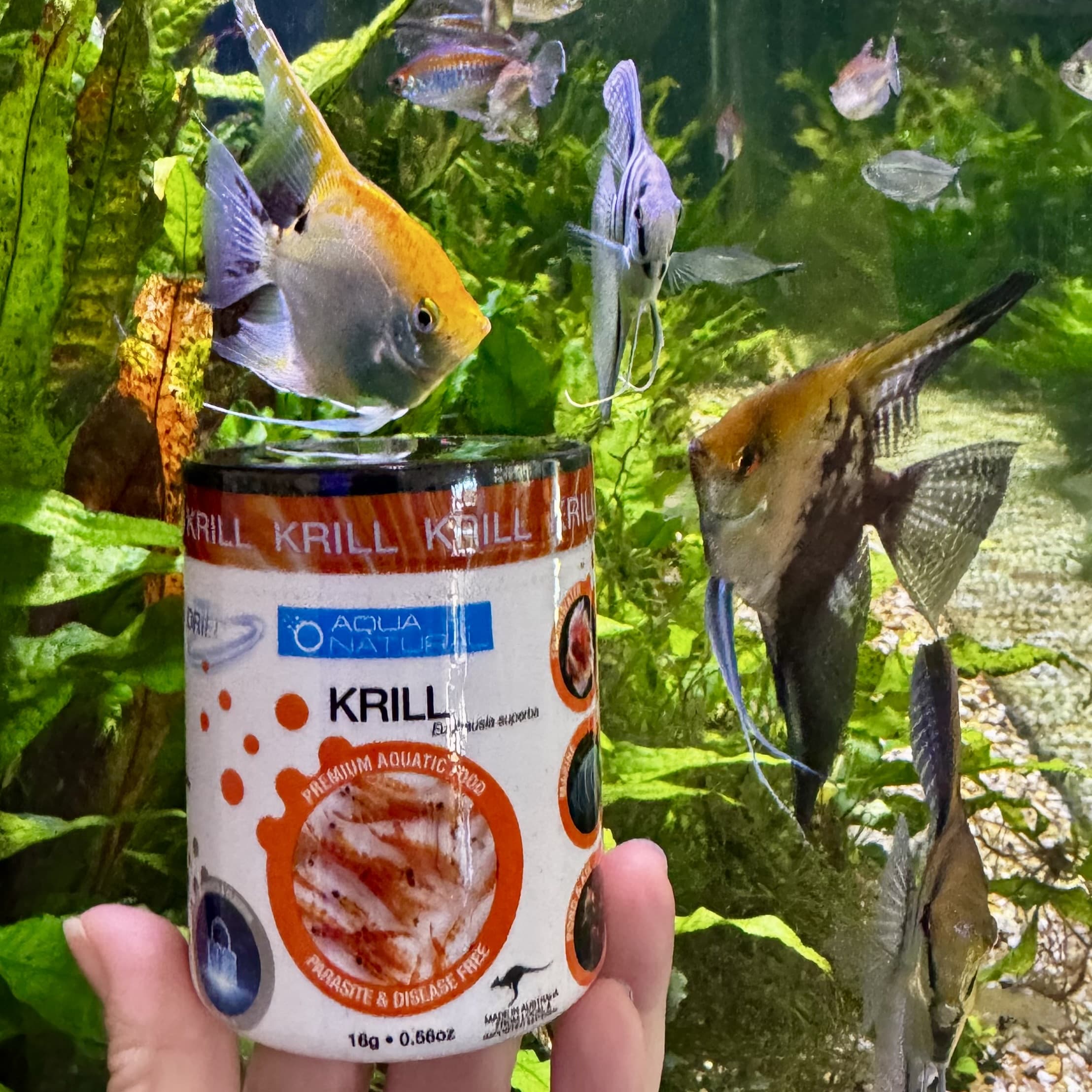 Aqua Natural Fish Food Freeze Dried Krill - Aqua Natural Where to buy Freeze Dried Krill AquaNatural online in Australia