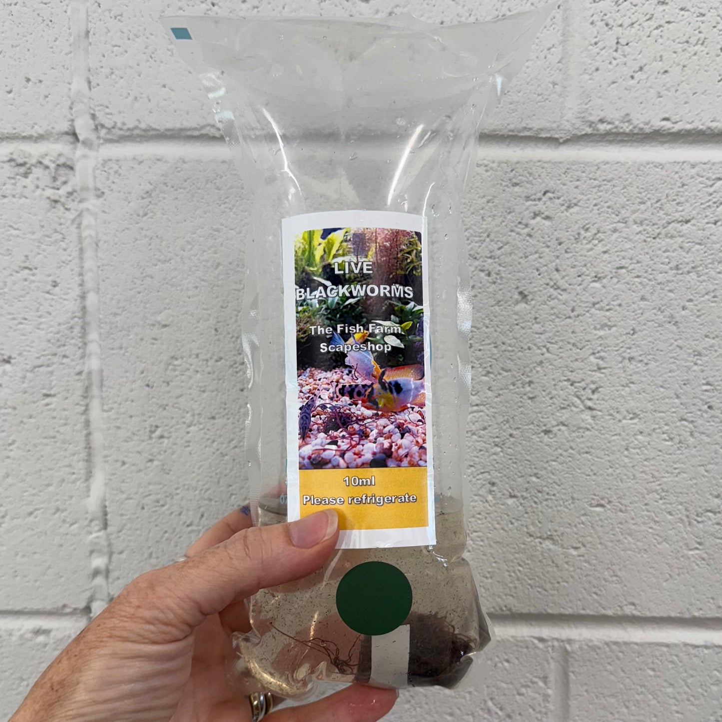 Scapeshop.com.au Fish Food Live Blackworms Fish Food 10ml Pack Buy Live Blackworms Fish Food from Scapeshop Australia